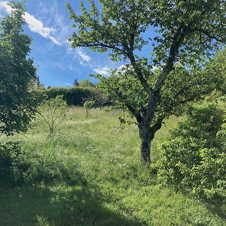 Sous Le Bon Toit Bed & Breakfast Belley Dış mekan fotoğraf